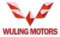 Logo Wuling van