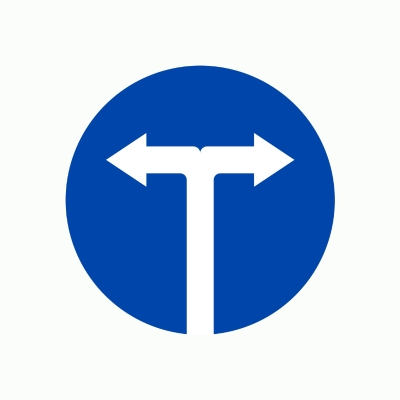 R301h - Hướng đi phải theo