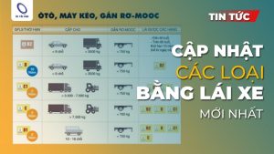 Các loại bằng lái xe ô to mới nhất 2025