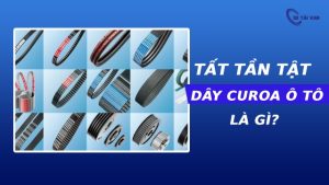 Dây curoa ô tô là gì