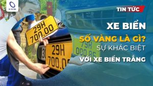 những xe nào phải đổi biển số màu vàng