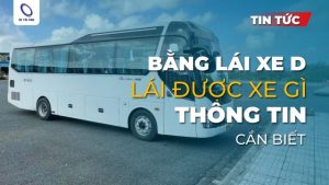 Bằng lái xe D lái được xe gì
