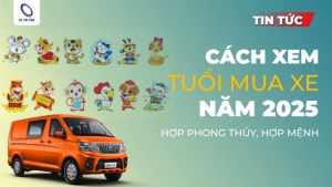 Cách xem tuổi mua xe năm 2025 theo phong thủy, hợp mệnh