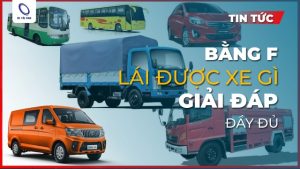 Bằng F lái được xe gì? Giải đáp thắc mắc về bằng lái xe hạng F