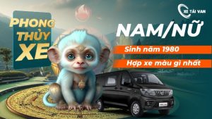 Nam/nữ tuổi Canh Thân sinh năm 1980 hợp xe màu gì nhất? Nam/nữ tuổi Canh Thân sinh năm 1980 hợp xe màu gì nhất?