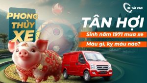 Nam, nữ tuổi Tân Hợi sinh năm 1971 hợp xe màu gì 2026? Nam, nữ tuổi Hợi sinh năm 1971 hợp xe màu gì 2025?