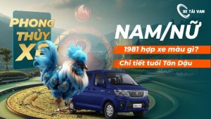 Nam/nữ tuổi Tân Dậu sinh năm 1981 mua xe hợp màu gì nhất? Nam/nữ tuổi Tân Dậu kỵ/ hợp xe màu gì
