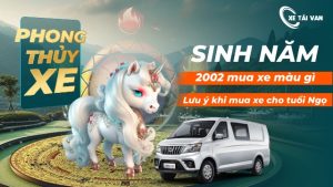 nam nữ Sinh năm 2002 mua xe màu gì mang tài lộc