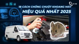18 cách chống chuột khoang máy ô tô van hiệu quả