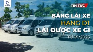 Bằng lái xe hạng D1 lái được xe gì? Cập nhật mới từ 2025