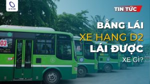 [Quy định 2025] Bằng lái xe hạng D2 lái được xe gì?