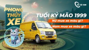 Tuổi Kỷ Mão 1999 hợp màu xe gì? Tránh màu xung khắc