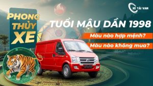 Tuổi Mậu Dần 1998 hợp màu xe gì? Tránh màu kỵ