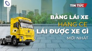 Bằng lái xe hạng CE lái được xe gì theo quy định mới nhất