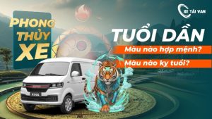 Tuổi Dần hợp màu xe gì, kỵ màu xe gì theo phong thủy năm 2025