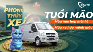 Tuổi Mão hợp màu xe gì nhất? Bí quyết chọn xe hợp mệnh năm 2025