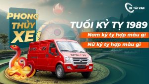 Tuổi Kỷ Tỵ 1989 hợp màu xe gì? Nam, nữ Nữ tuổi Kỷ Tỵ nên mua xe màu gì?