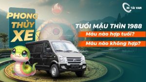 Tuổi mậu thìn 1988 hợp màu xe gì mang lại may mắn?