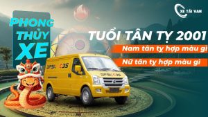 Tuổi Tân Tỵ 2001 hợp màu xe gì? Khắc màu gì?