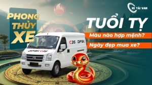 Tuổi tỵ hợp xe màu gì cho tất cả tuổi chi tiết