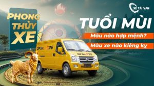 Tuổi Mùi hợp màu xe gì năm 2025 để hút tài lộc, đi đâu cũng thuận lợi?