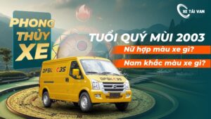 nam, nữ tuổi quý mùi sinh năm 2003