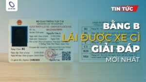 Bằng B lái xe gì theo quy định mới từ 2026